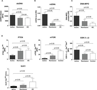 Activity of granulomatosis with polyangiitis and its correlation with mTOR phosphoproteomics in neutrophils